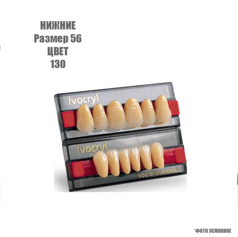 Зубы искуственные фронтальные нижние Ivoclar Set of 6 L UK56 130 купить